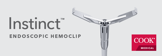 Cook Medical&rsquo;s Endoscopy Division